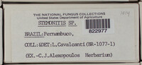 Image Associated With the Occurence